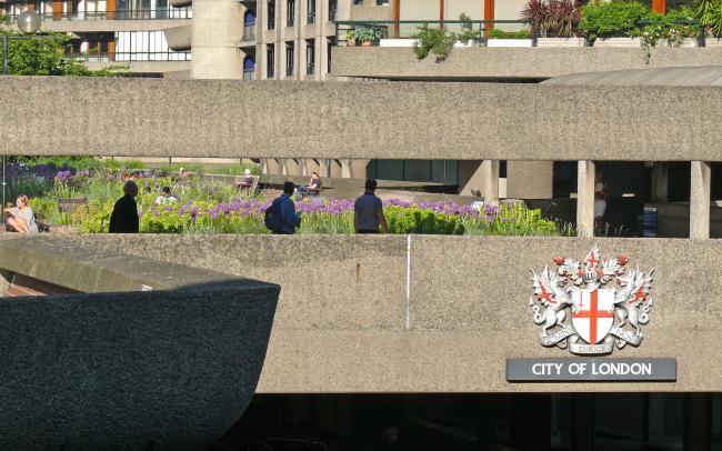 View onto a roof garden in London